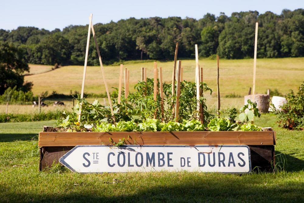 Le Vallon De Guerry Sainte-Colombe-de-Duras 外观 照片